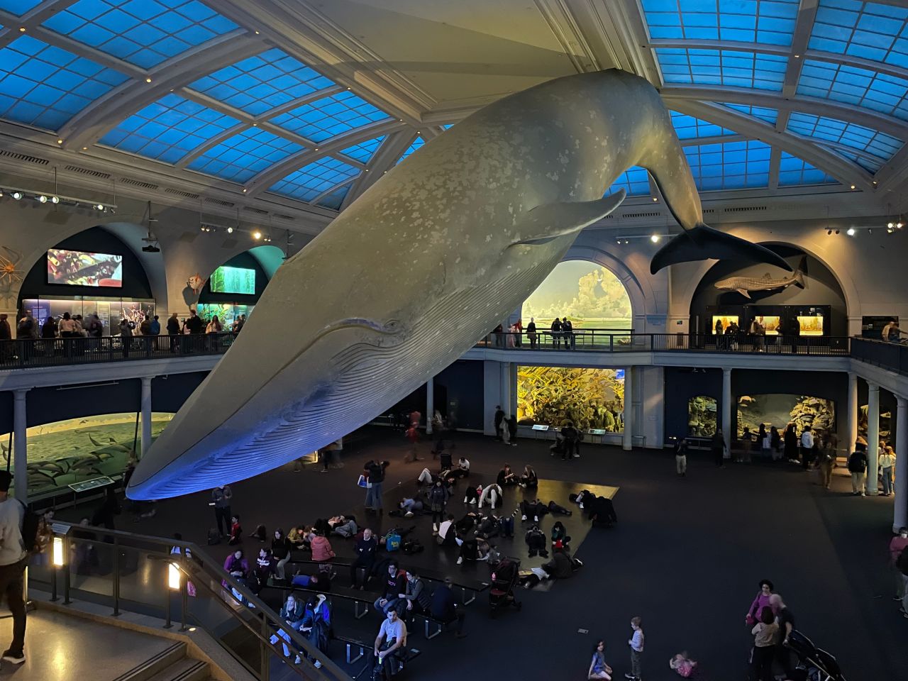 A Night at the Museum Is Back With Flashlights, Fossils, and Movie-Level Magic